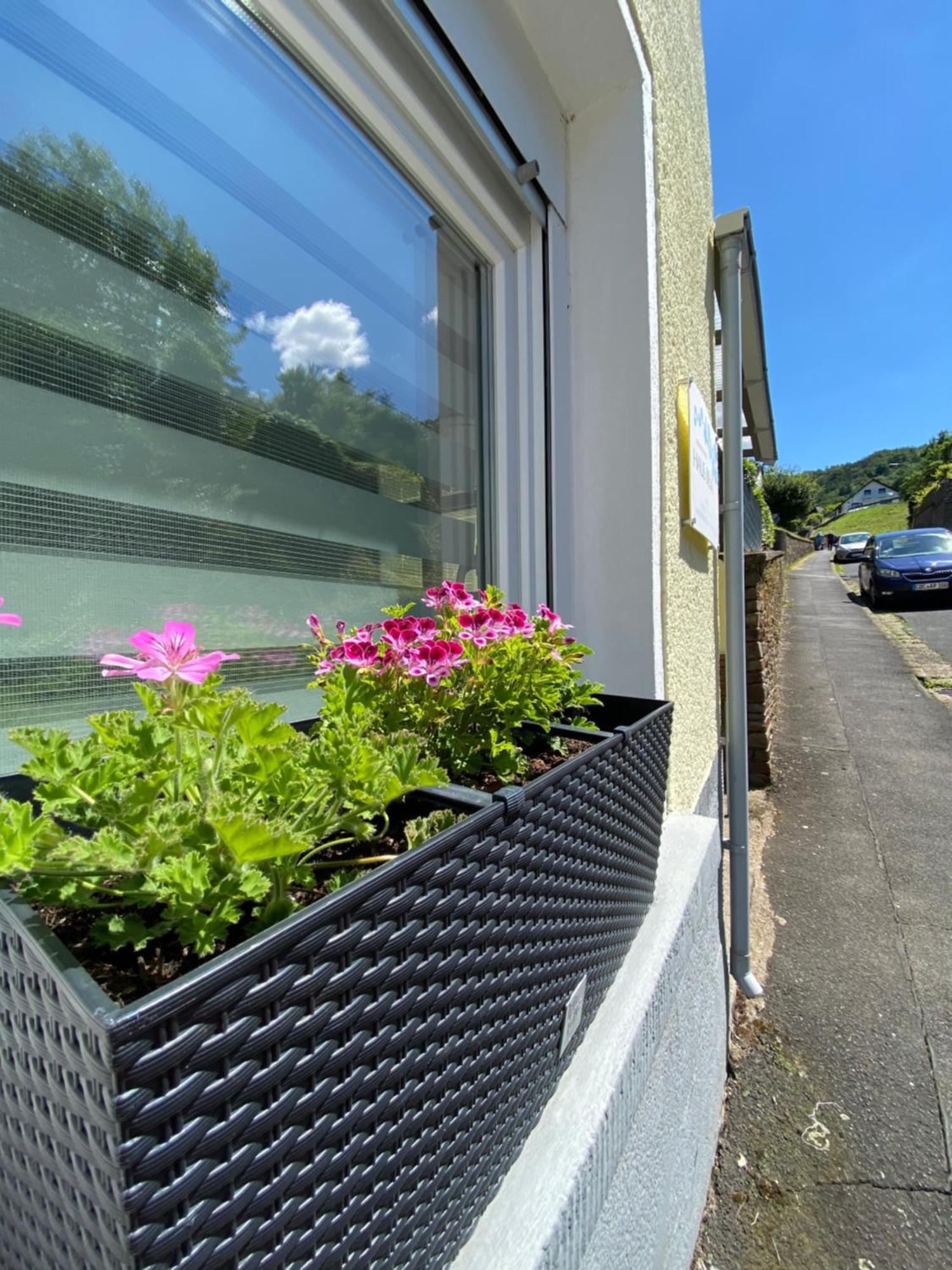 Apartmán "Haus Bella" Cochem Exteriér fotografie